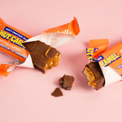 Barebells Protein Bar - Salted Peanut Caramel